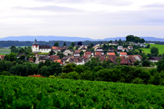 Illnau
