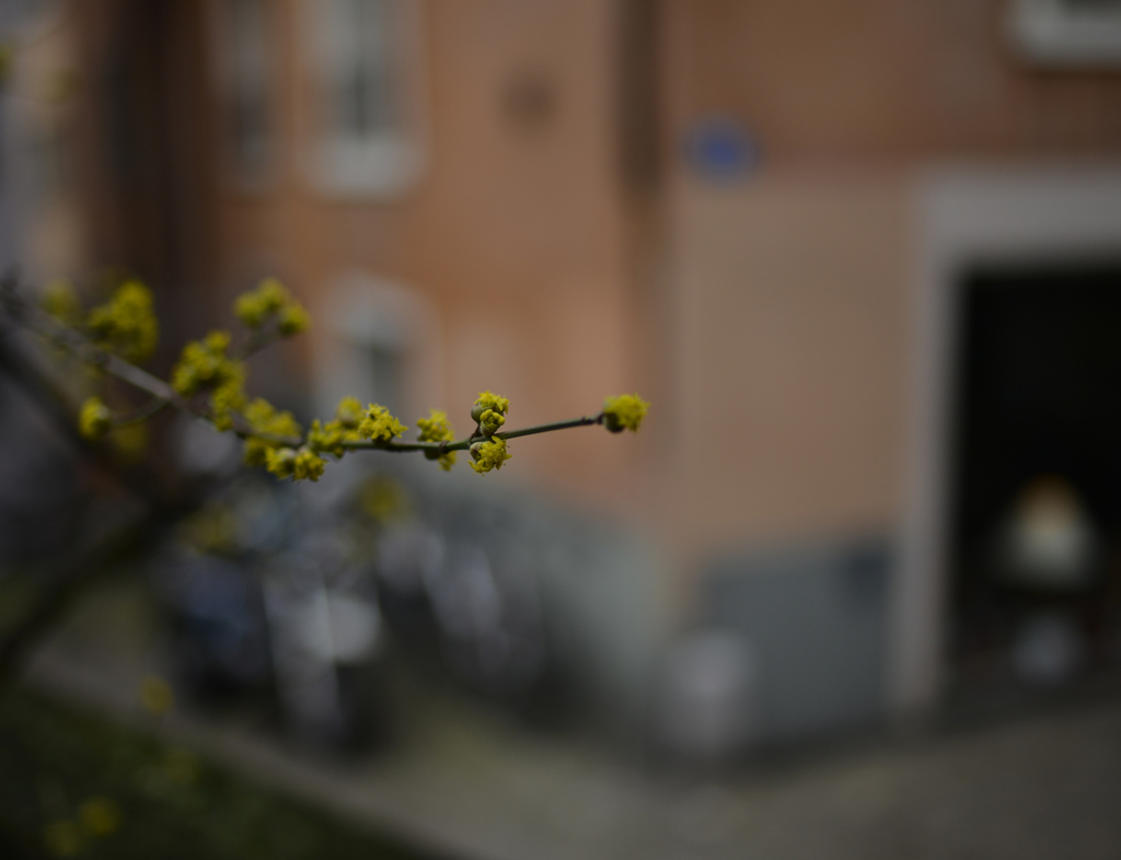 そろそろ春〜？