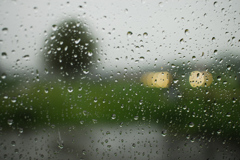 今日は雨