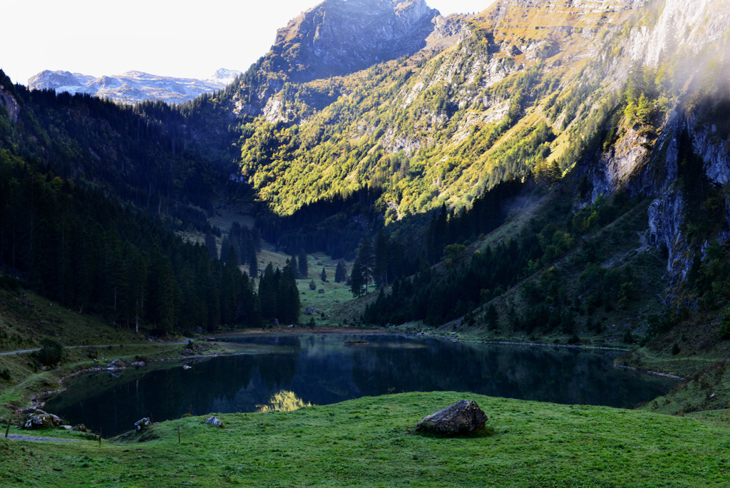 Talalpsee3