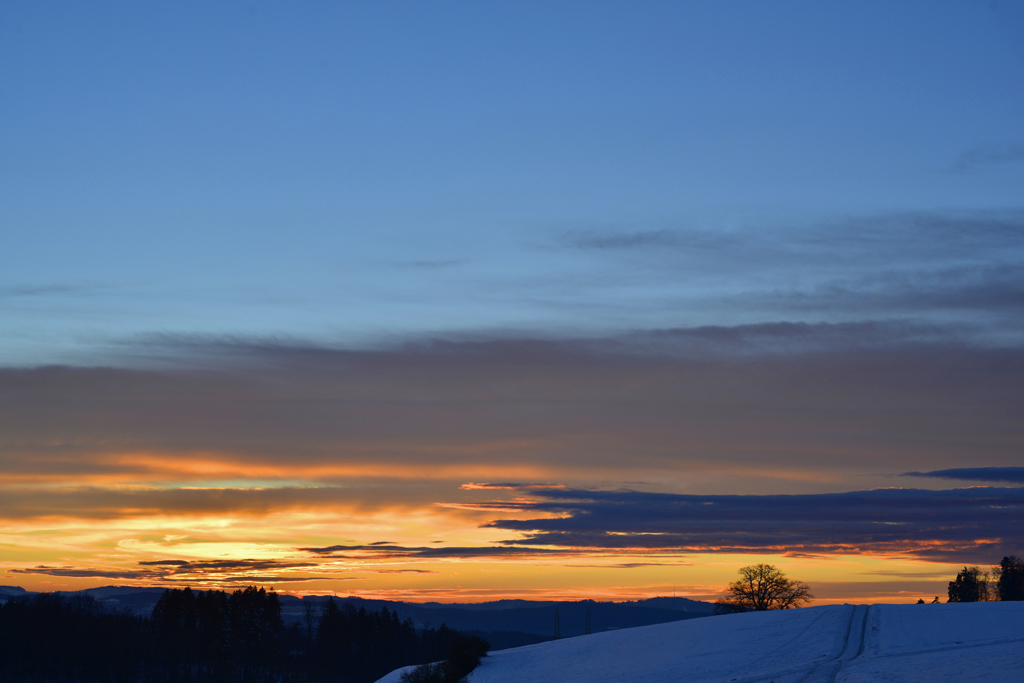 夕景