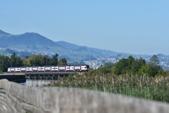 Rapperswil7