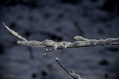 柔らかい雪