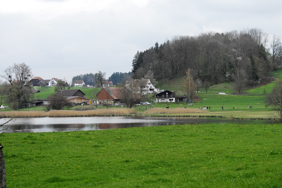 コウノトリのいる村