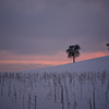 夕景