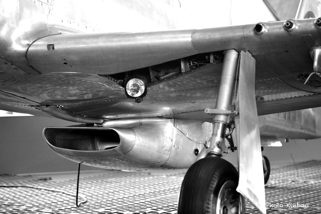 P-51 D "Mustang"