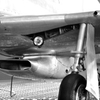 P-51 D "Mustang"