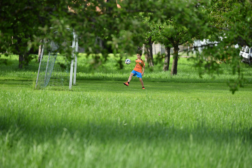 WM目指して　２