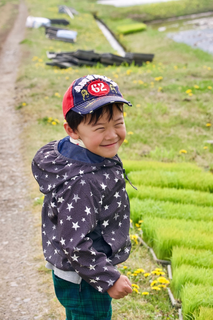 田植え