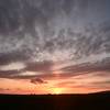 夕陽