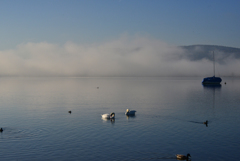 湖の朝１