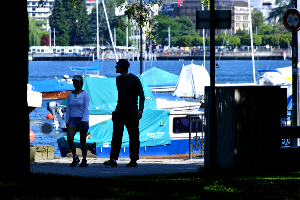 湖の見える風景
