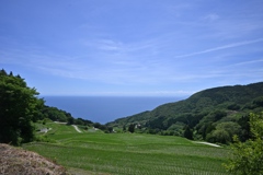 岩首の棚田