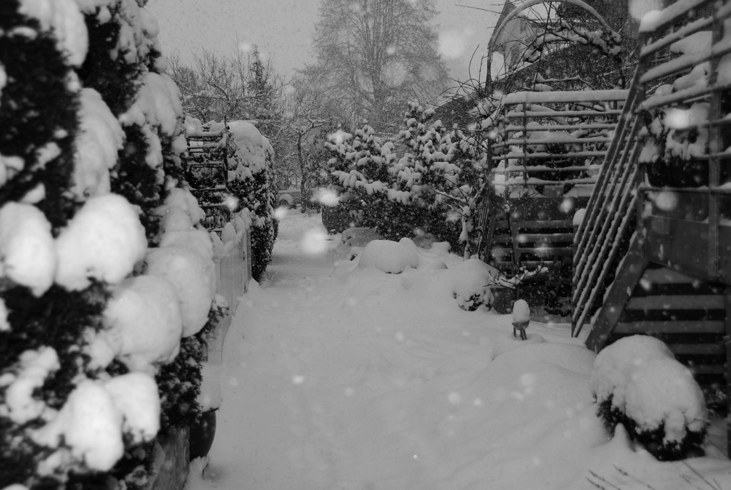 雪が降る　１