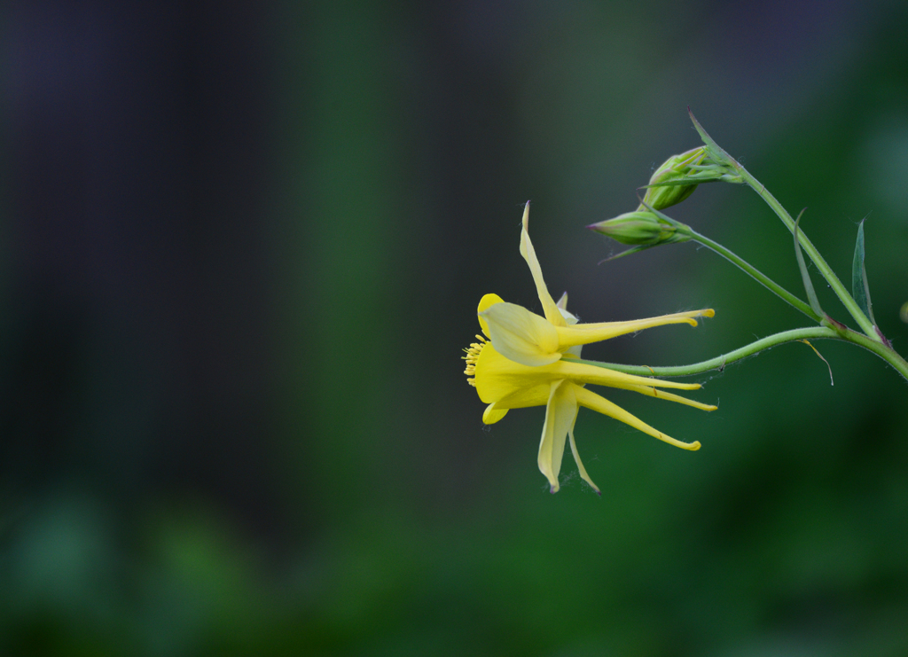 こっち向いて＾＾