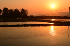 夕陽