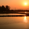 夕陽