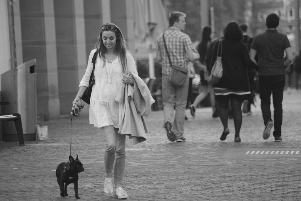犬の散歩