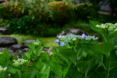 蓮華峰寺