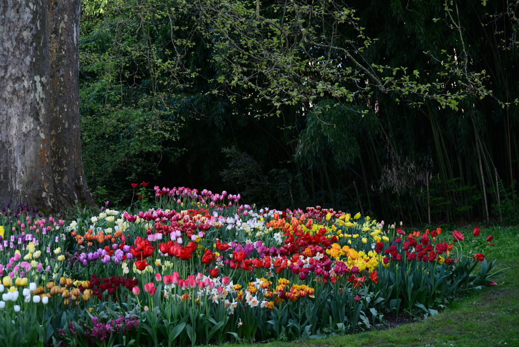 Mainau