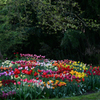 Mainau