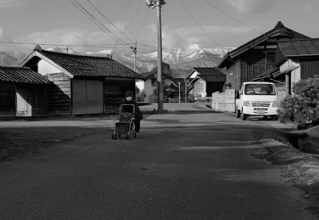 散歩　続き