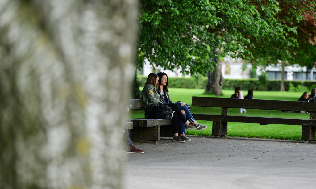 休日の過ごし方　２