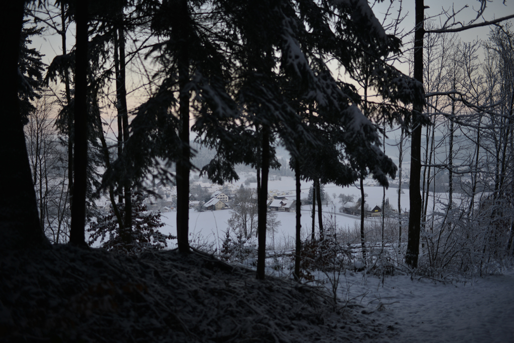 森の入り口から