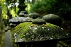 立田自然公園 2