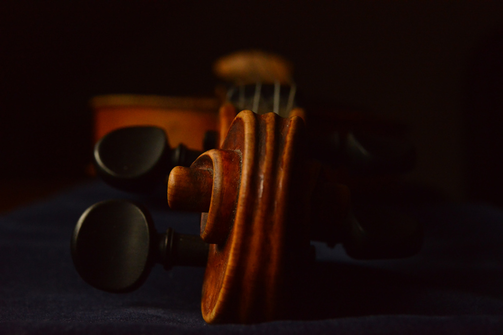 Violine