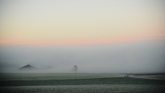 朝霧の中