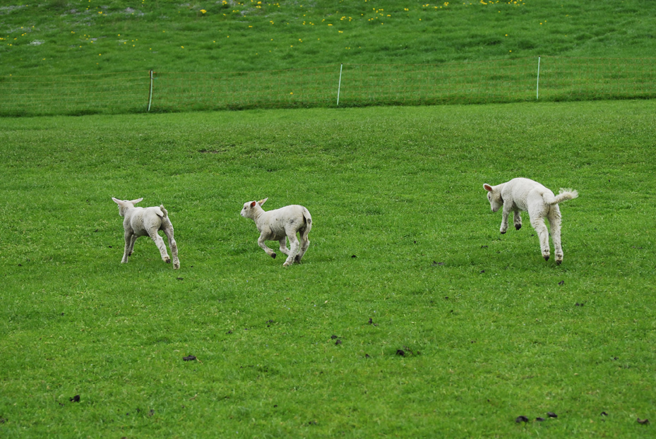 わぁ〜い春だ〜〜
