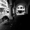 Street snap 1