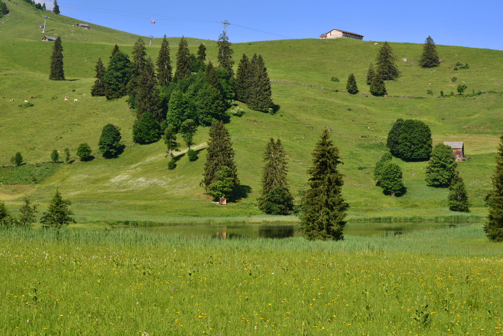 Schwendisee5