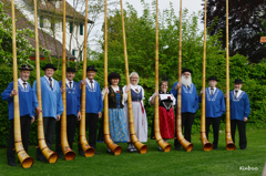 Alphorn1