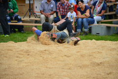 Schwingen4