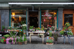 隣町の花屋さん