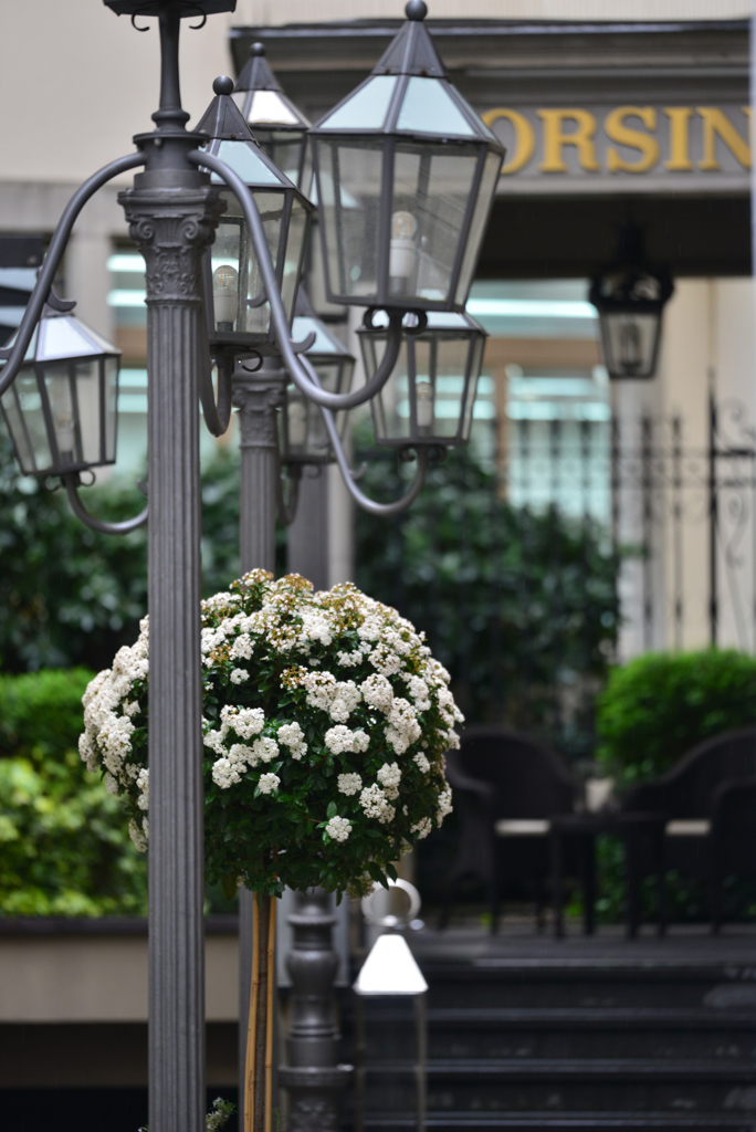 Street Snap  11