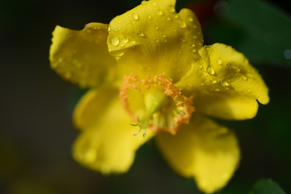 雨粒と　２