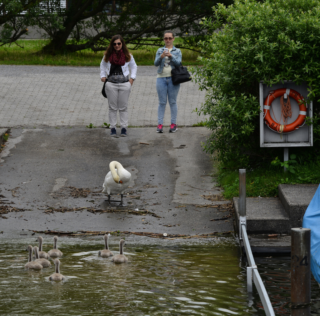 おっ可愛い〜〜