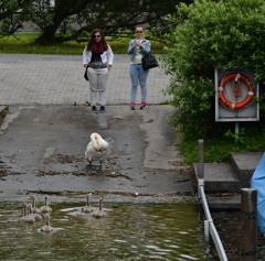 おっ可愛い〜〜