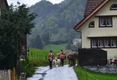 今日は牛の品評会１