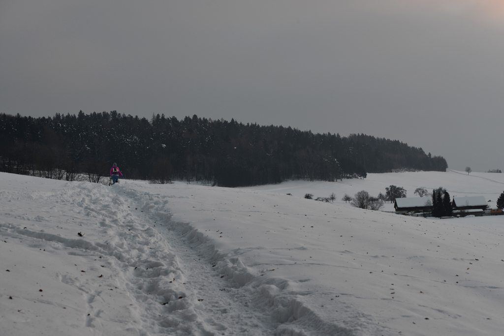 雪にも負けず　１