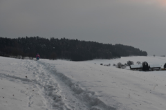 雪にも負けず　１