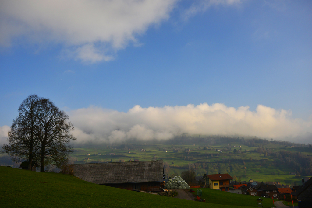 Toggenburg