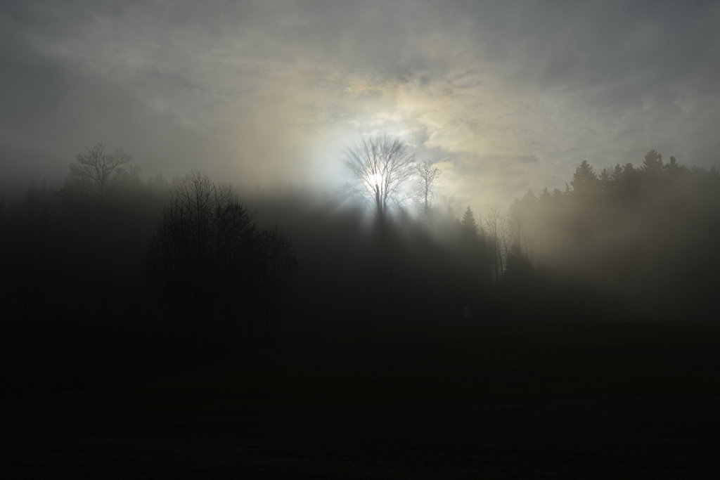 霧の朝　１