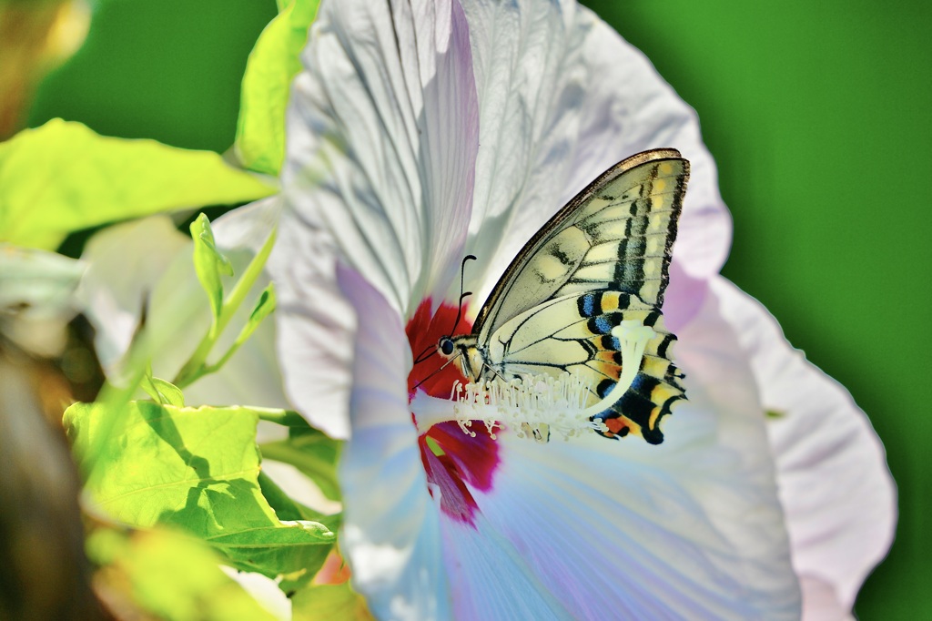 ちょっとお邪魔します。