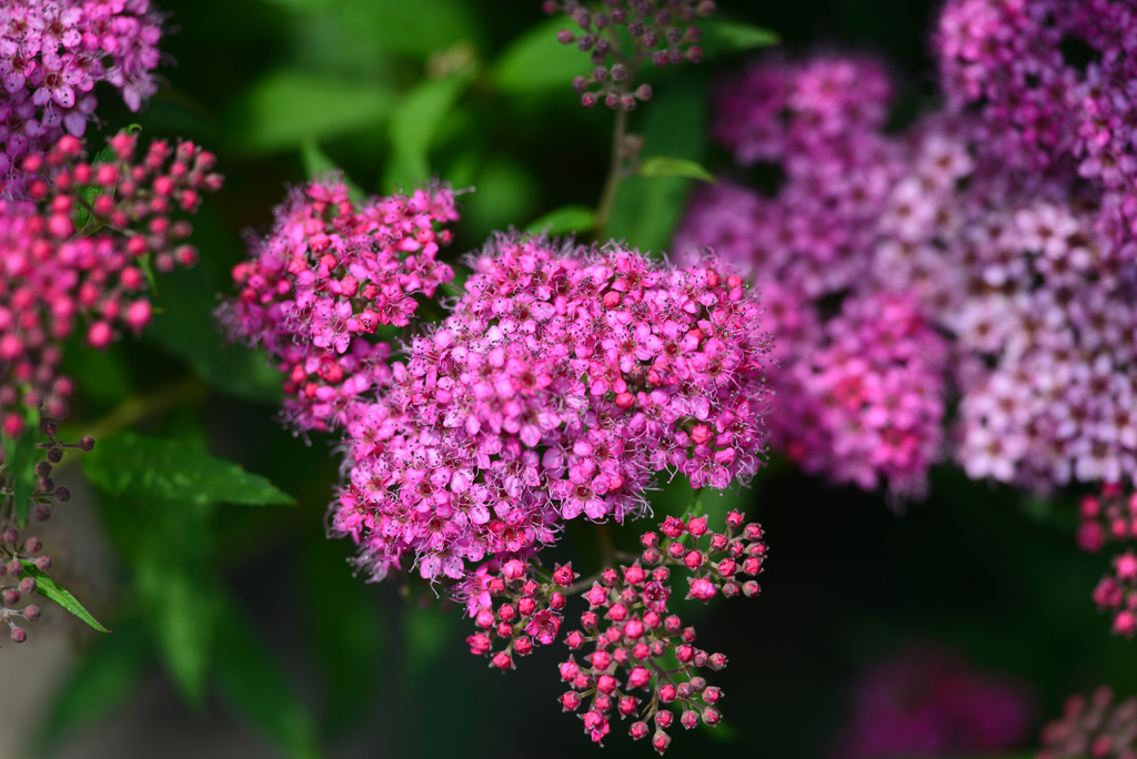 ここにもあった。