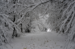 大雪