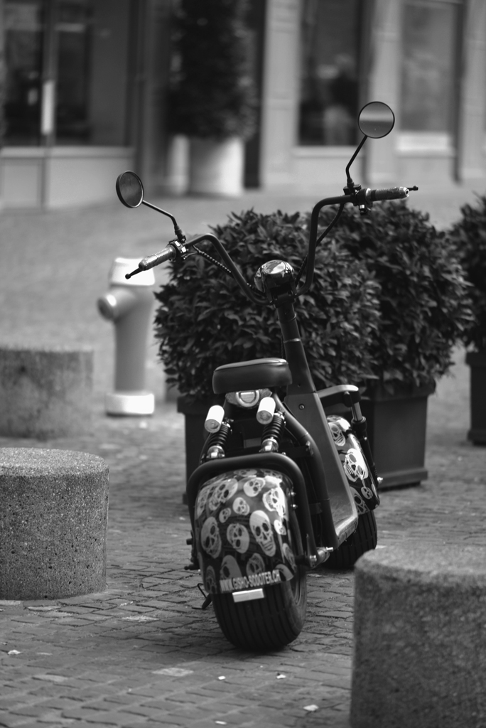 Street Snap191